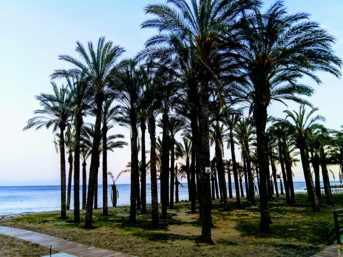Estudio En 1ª Linea En Santa Clara Torremolinos Dış mekan fotoğraf